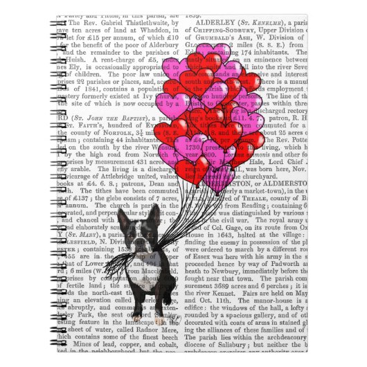 Carnet Boston Terrier Et Ballons (Devant)