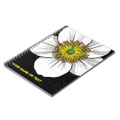 Carnet Botanical Blizzard: The Eucryphia cordifolia (Côté gauche)