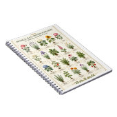 Carnet Botanical Plant Guide Wall Art (Côté Droit)