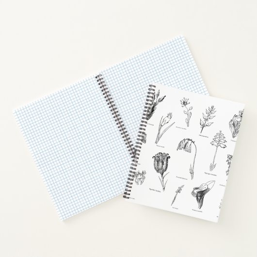 Carnet botanique absurde (Intérieur)