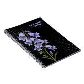 Carnet Botanique Alpine : La Campanule barbue (Côté Droit)