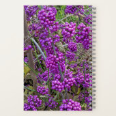 Carnet Botanique de Beautyberry d'Amérique pourpre (Verso)