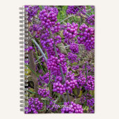 Carnet Botanique de Beautyberry d'Amérique pourpre (Recto)