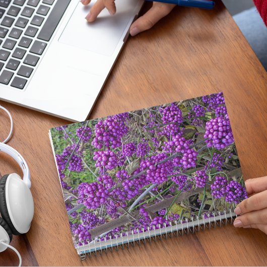 Carnet Botanique de Beautyberry d'Amérique pourpre