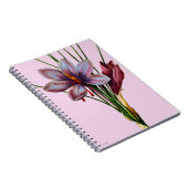 Carnet Botanique : Safran (Côté Droit)
