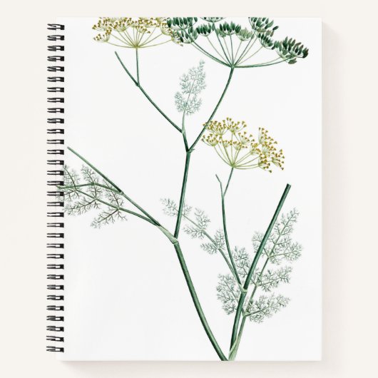 Carnet Botanique verte douce IV (Devant)