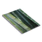 Carnet Bottes en bambou vert (Côté Droit)