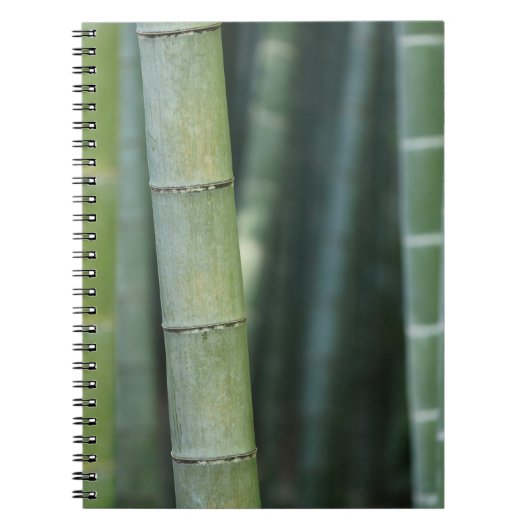 Carnet Bottes en bambou vert (Devant)