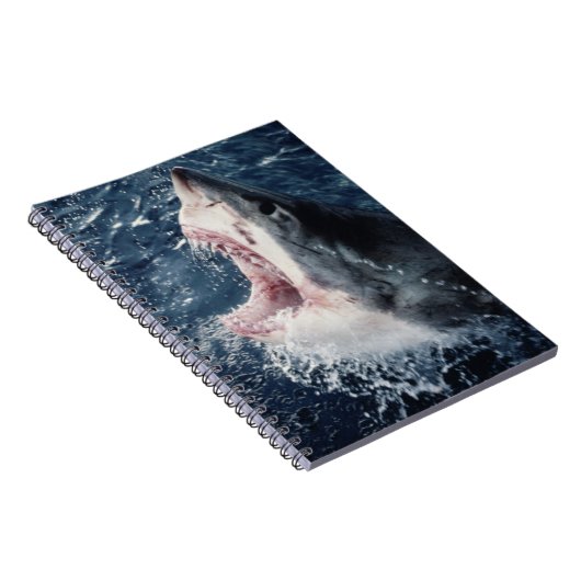 Carnet Bouche de requin élevée ouverte (Côté Droit)