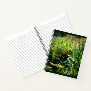 Carnet Bouclier