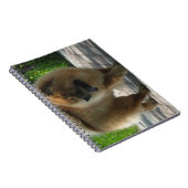 Carnet bouffe de bouffe full.png (Côté Droit)