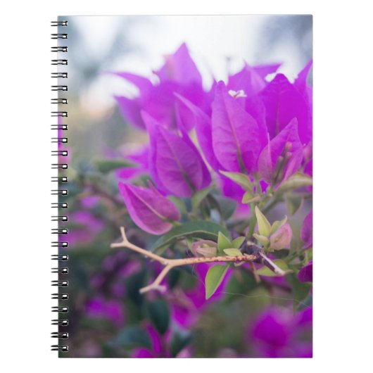 Carnet Bougainvilliers violets (Devant)