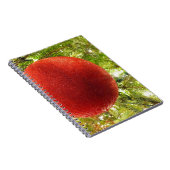 Carnet Boule de Noël rouge  (Côté Droit)