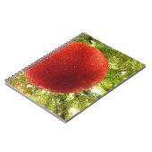 Carnet Boule de Noël rouge  (Côté gauche)
