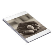 Carnet Boule MES01BWD1 dans Mitt.tif (Côté Droit)