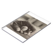 Carnet Boule MES01BWD1 dans Mitt.tif (Côté gauche)