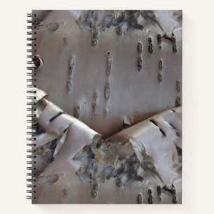 Carnet Bouleau courbe écorce rustique