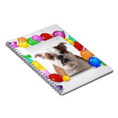 Carnet Bouledogue avec ballons colorés thème d'anniversai (Côté Droit)