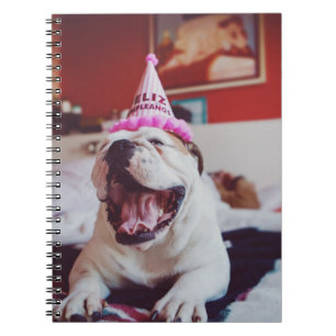 Carnet Bouledogue britannique des images de Getty