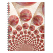 Carnet Boules de cricket rythmées par boules de cuir : ta (Devant)