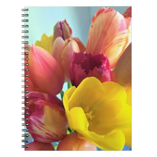 Carnet Bouquet du Colorful (Devant)