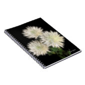 Carnet Bouquet électrique (Côté Droit)