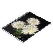 Carnet Bouquet électrique (Côté gauche)