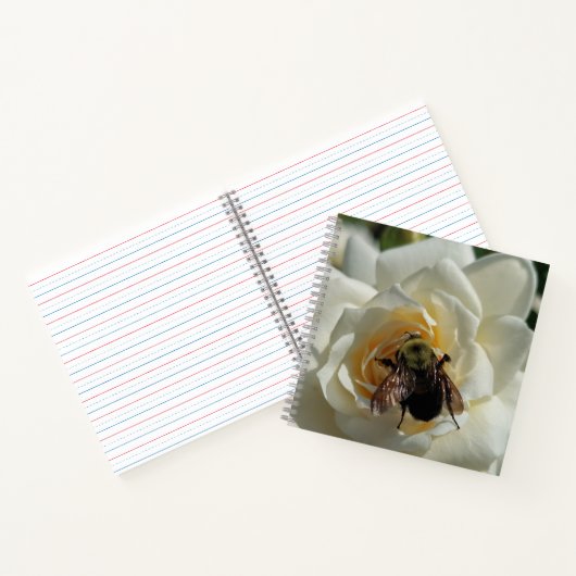 Carnet Bourdon et Rose Blanche (Intérieur)