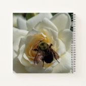Carnet Bourdon et Rose Blanche (Dos)