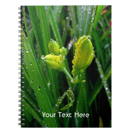 Carnet bourgeons verts printaniers (Devant)