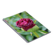 Carnet Bourgogne Peony Bud (Côté Droit)