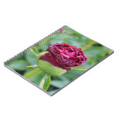 Carnet Bourgogne Peony Bud (Côté gauche)