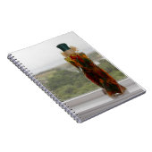 Carnet Bouteille remplie de paprikas Doux (Côté Droit)