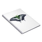 Carnet Bouton d'amortissement de l'indicateur Agender (Côté Droit)