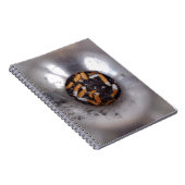 Carnet Boutons de cigarettes en argent fumeur Ashtray, dr (Côté Droit)