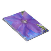 Carnet Bowen (Côté Droit)