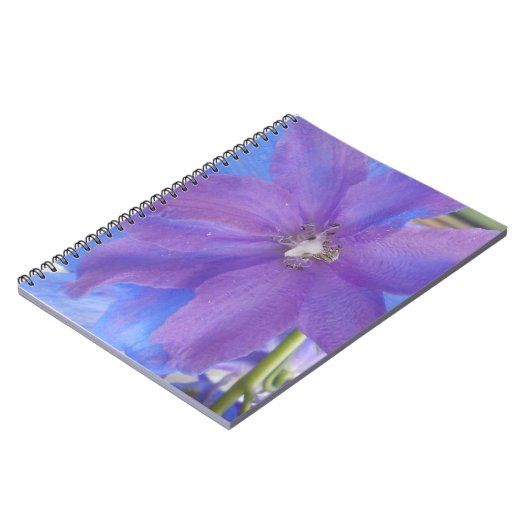 Carnet Bowen (Côté gauche)