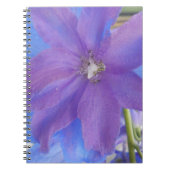 Carnet Bowen (Devant)