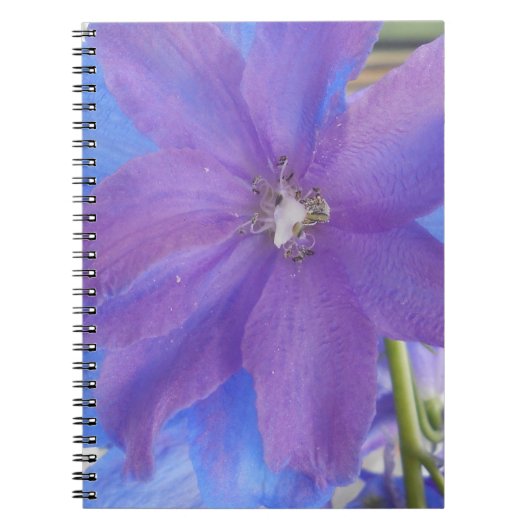 Carnet Bowen (Devant)