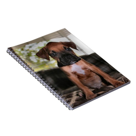 Carnet Boxer bébé (Côté Droit)
