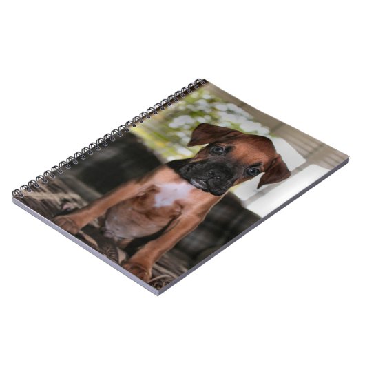 Carnet Boxer bébé (Côté gauche)