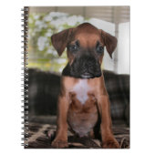 Carnet Boxer bébé (Devant)