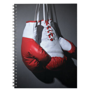 Carnet Boxing gloves