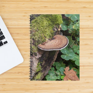 Carnet Bracket Fungus Nature Photo