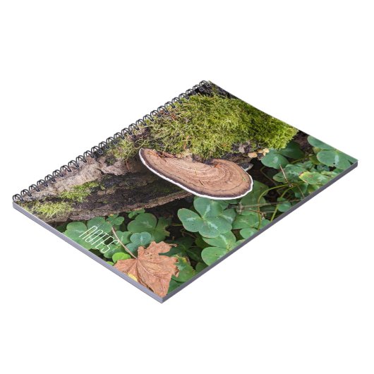 Carnet Bracket Fungus Nature Photo (Côté gauche)