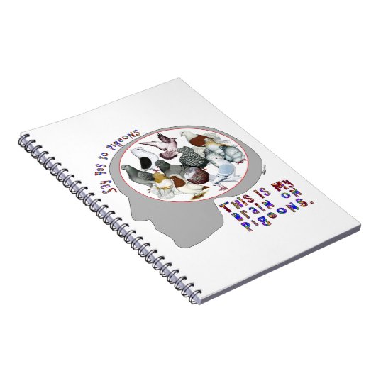 Carnet Brain (Côté Droit)