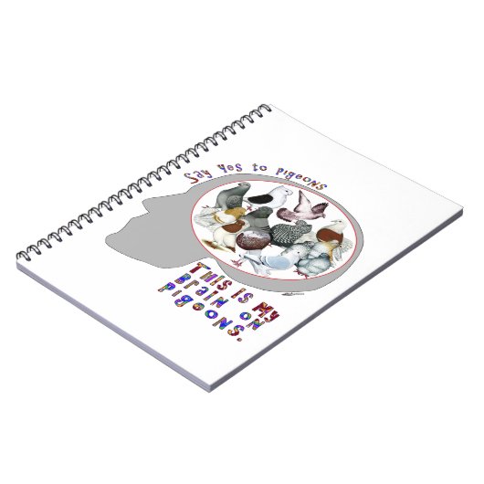 Carnet Brain (Côté gauche)