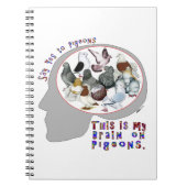 Carnet Brain (Devant)