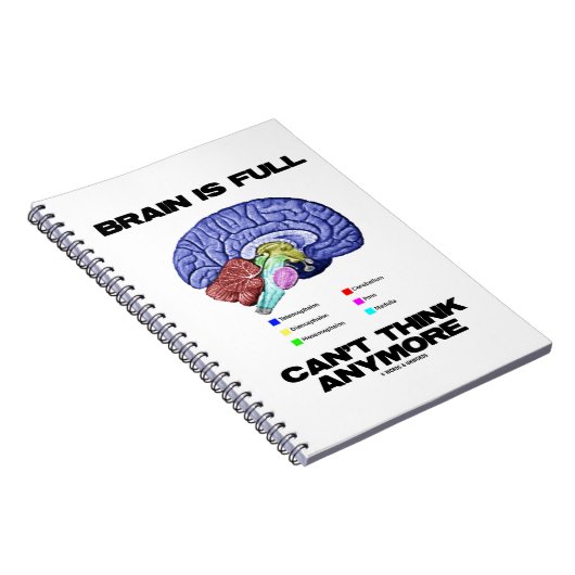 Carnet Brain Is (Côté Droit)