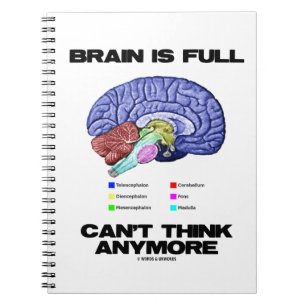 Carnet Brain Is